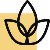 Luksuzan stil života